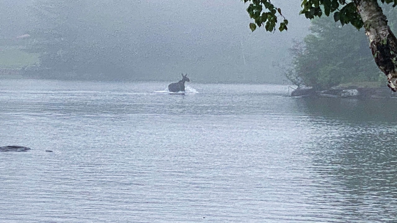 Photo of Outdoor in Greenville