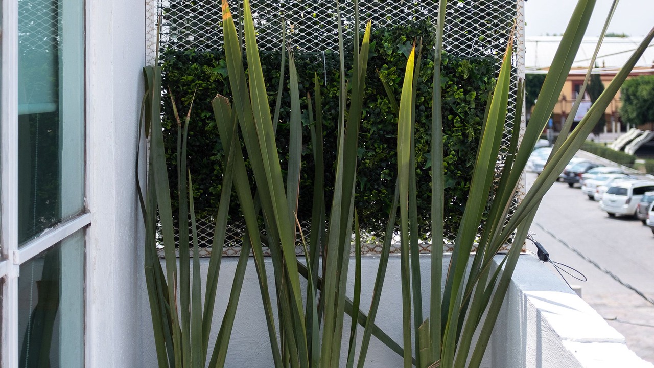 Photo of Outdoor in Cholula