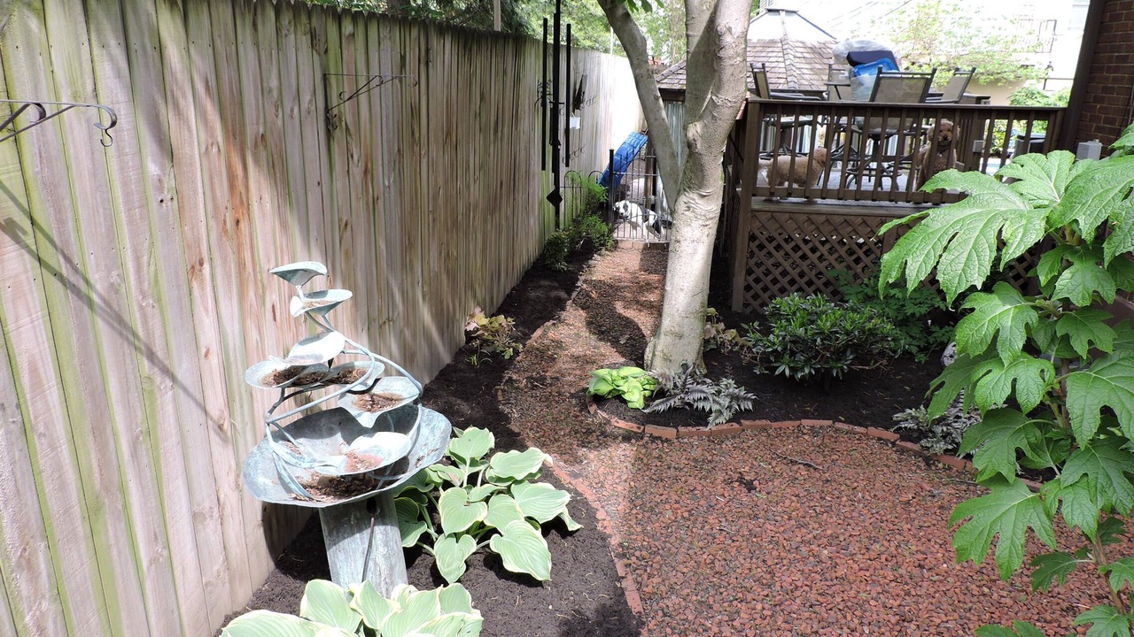 Photo of Outdoor in Bonnycastle