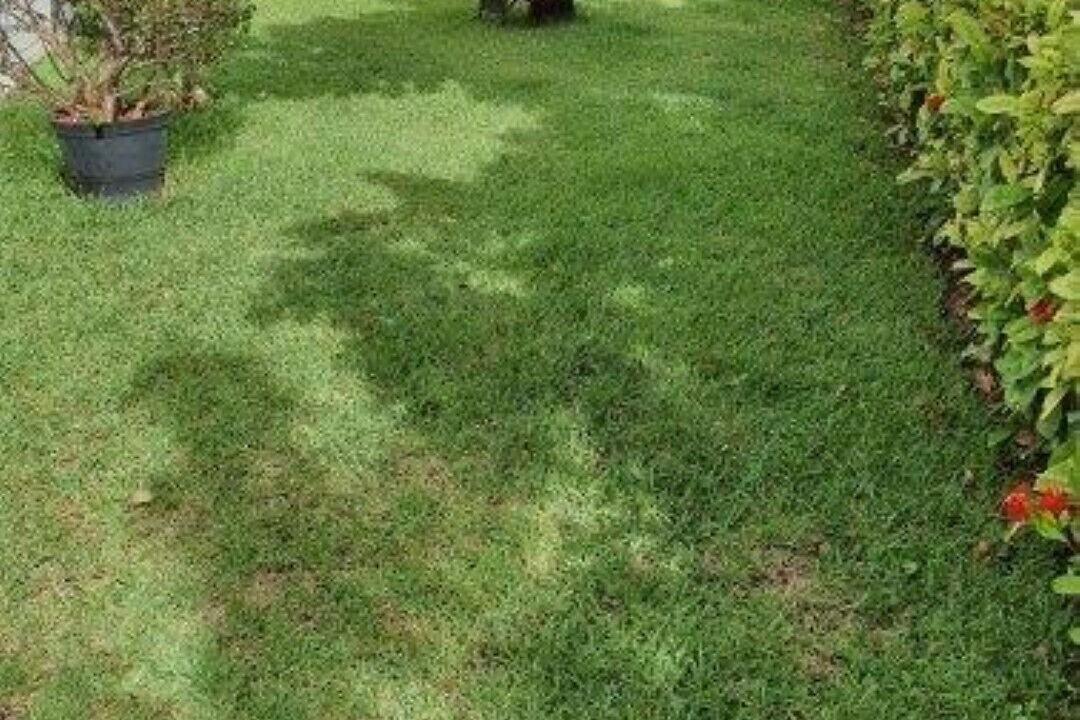 Photo of Outdoor in Merida Municipality