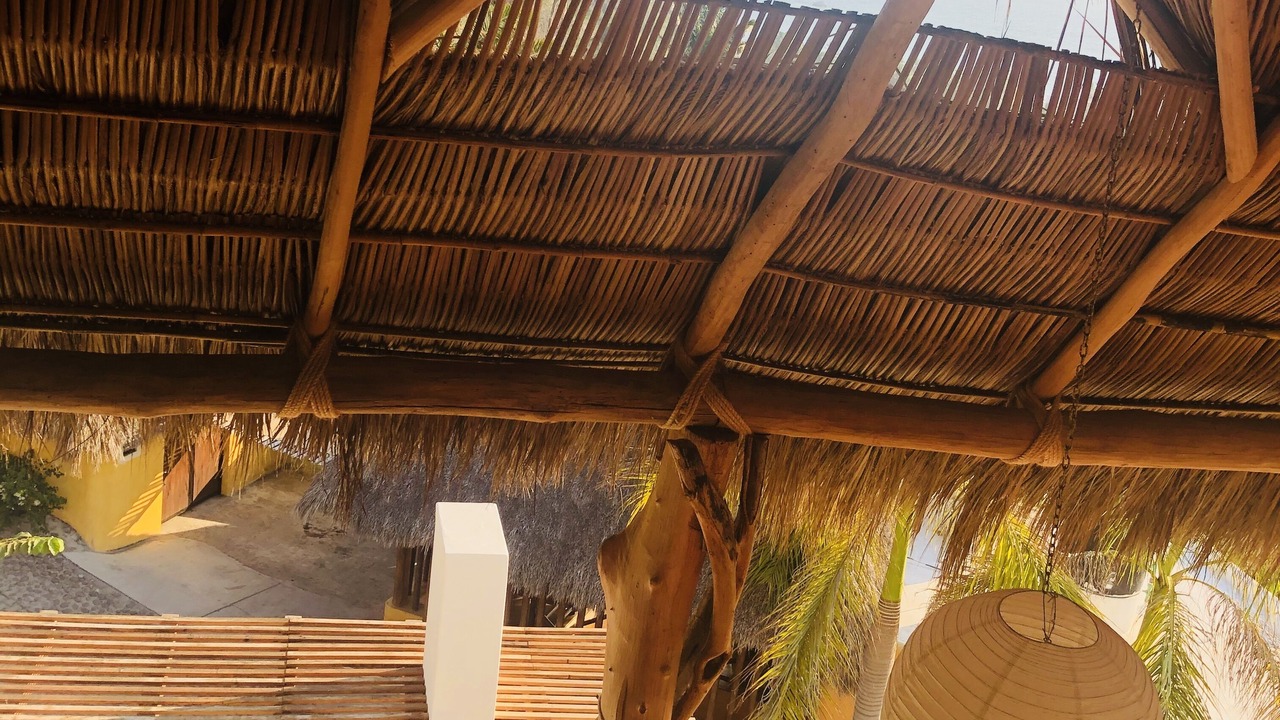 Photo of Outdoor in La Manzanilla