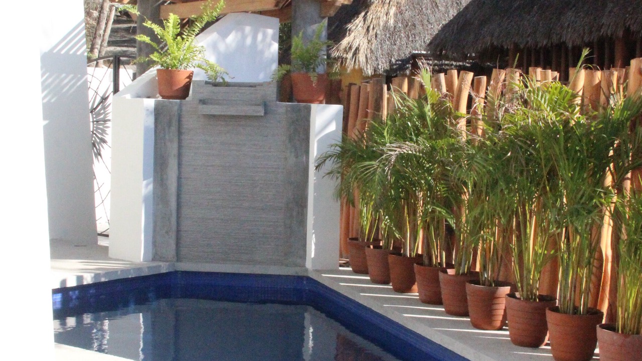 Photo of Outdoor in La Manzanilla