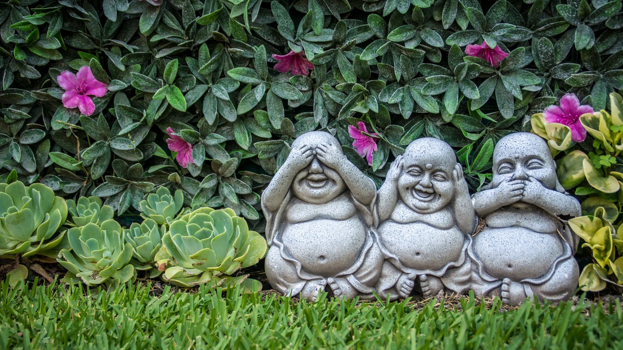 Photo of Outdoor in Tequesquitengo