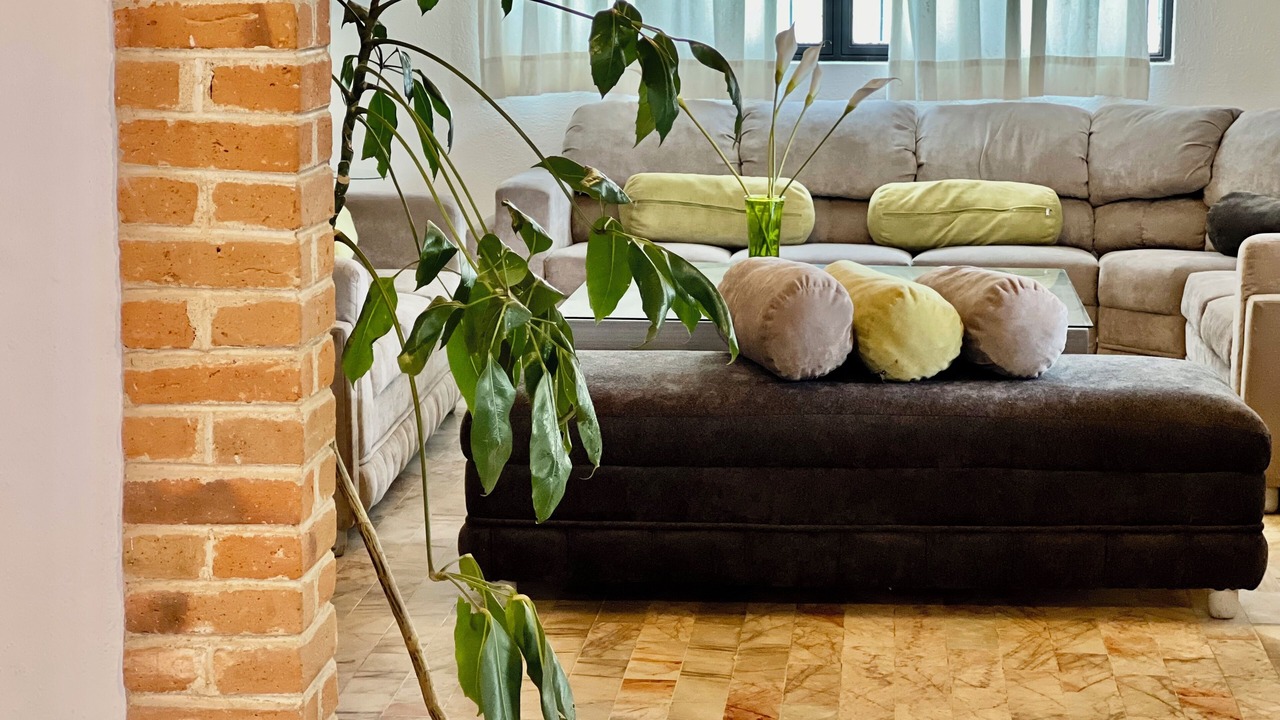 Photo of Livingroom in La Magdalena