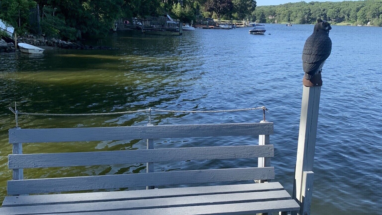 Photo of Outdoor in Saunderstown