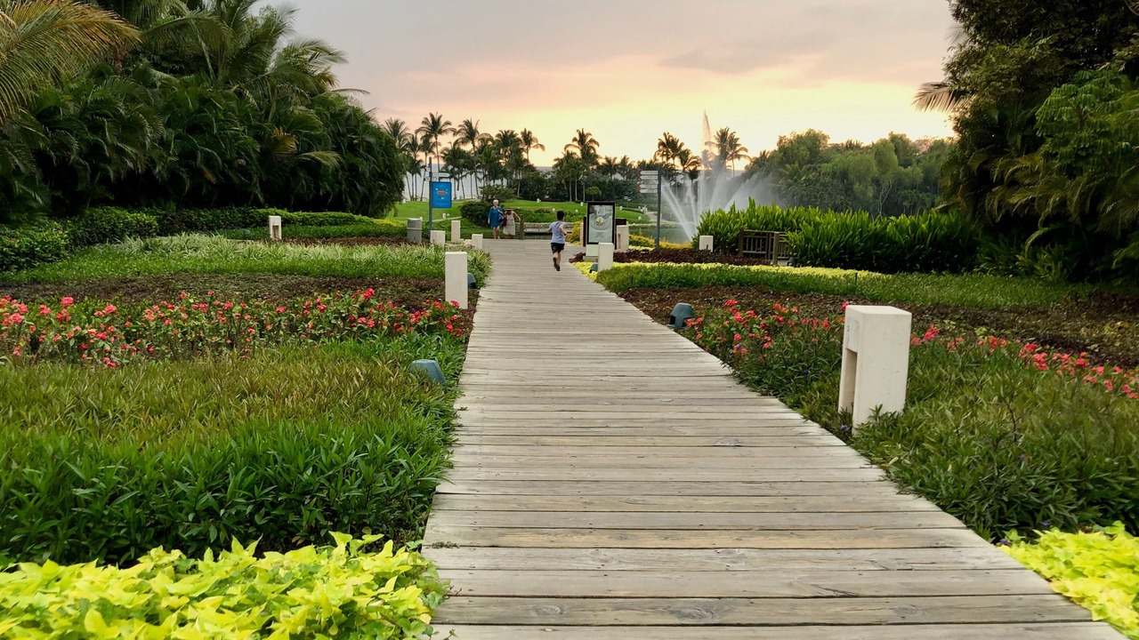 Photo of Outdoor in Nuevo Vallarta