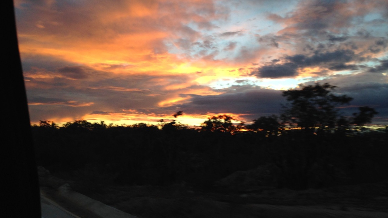 Photo of Others in San Jose del Cabo