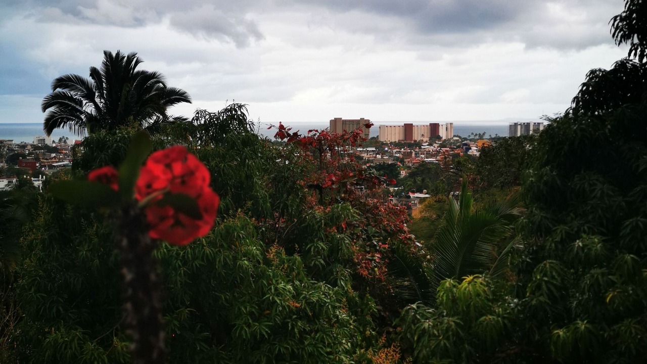 Photo of Outdoor in La Herradura
