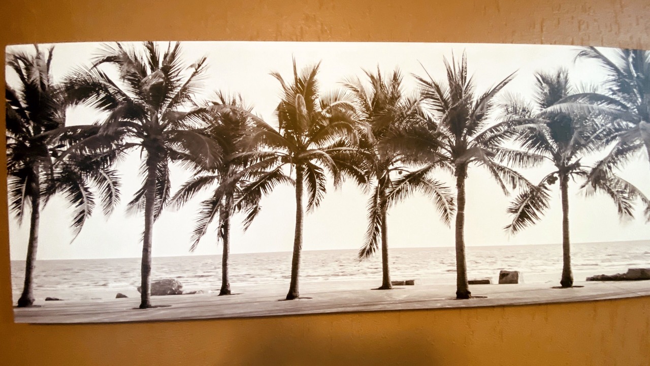 Photo of Others in Sandy Beach
