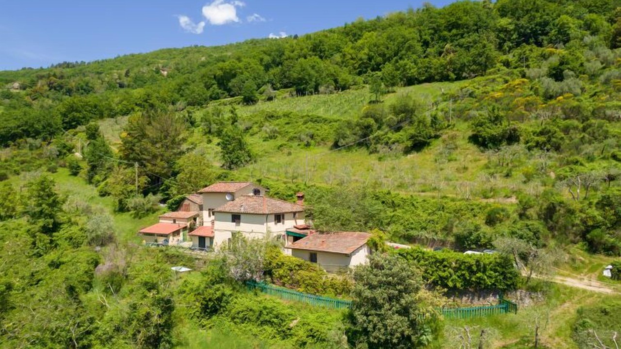 Photo of Others in Pontassieve