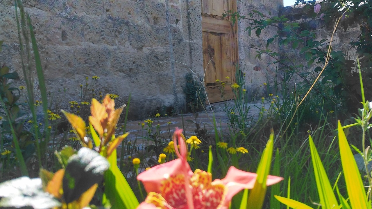 Photo of Outdoor in San Sebastian