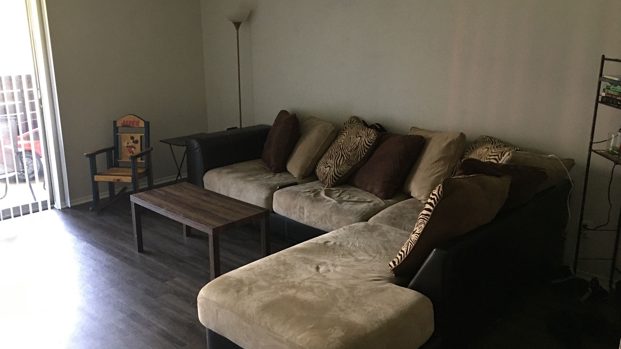 Photo of Livingroom in North Arlington