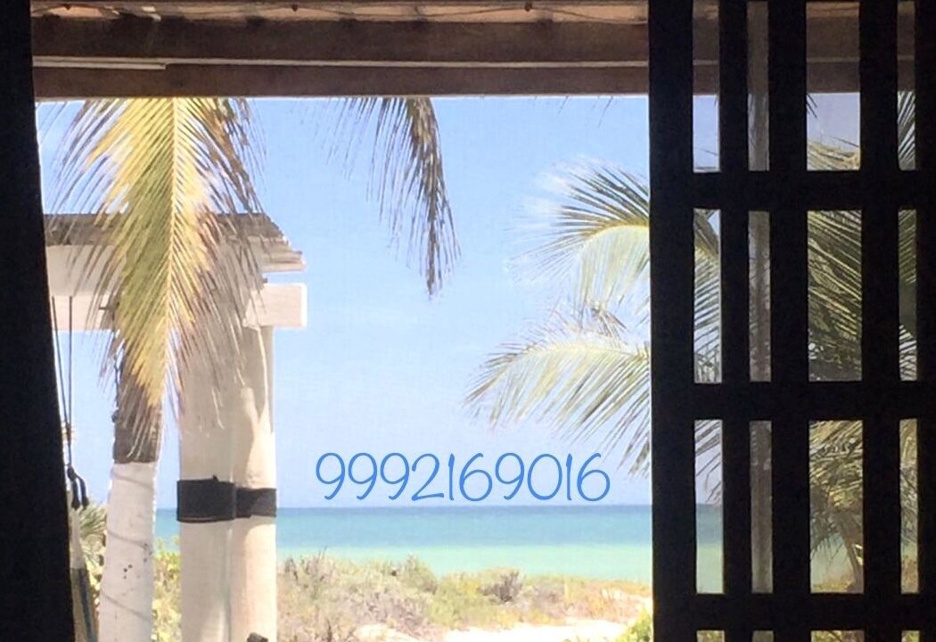 Photo of Outdoor in Chicxulub Puerto