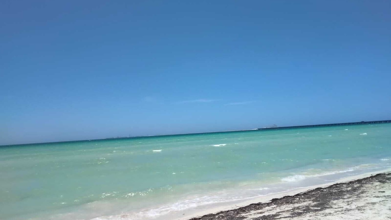 Photo of Others in Chicxulub Puerto