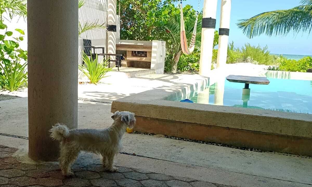 Photo of Outdoor in Chicxulub Puerto