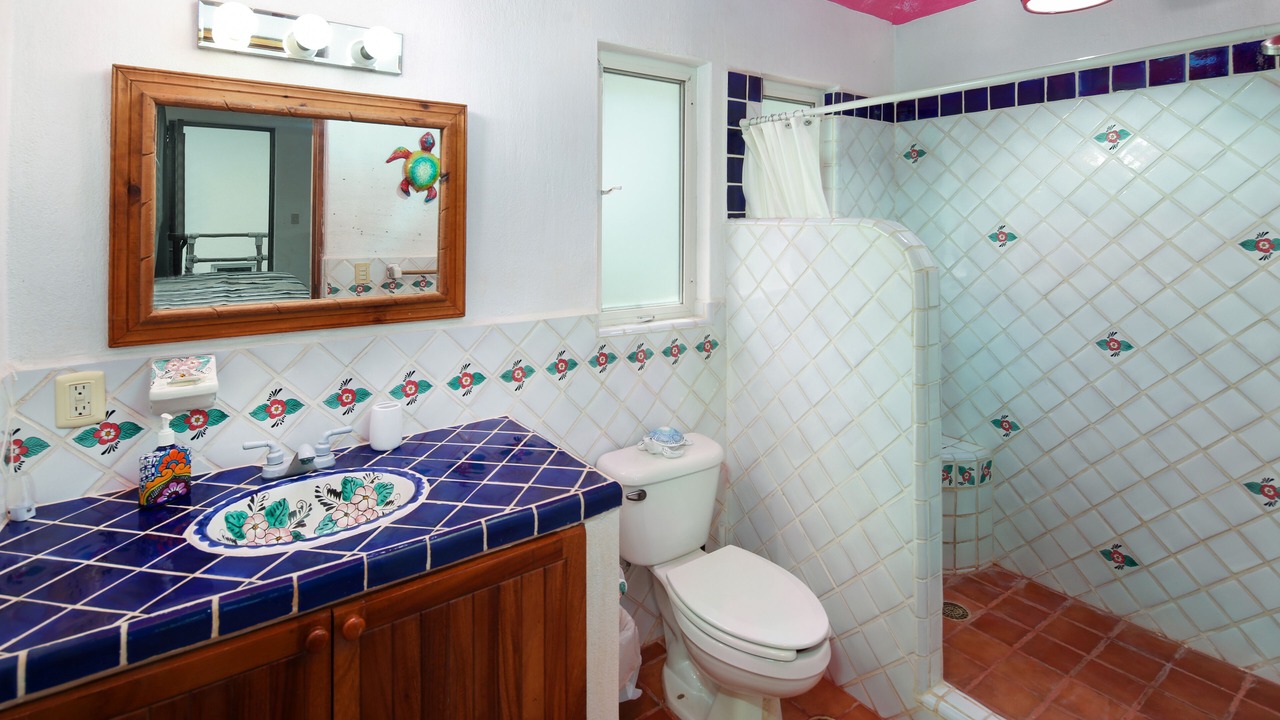 Photo of Bathroom in Platanitos