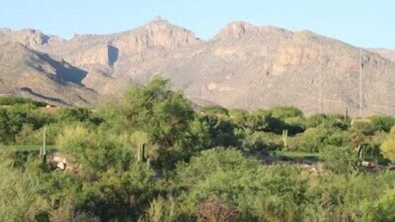 Photo of Others in Tucson