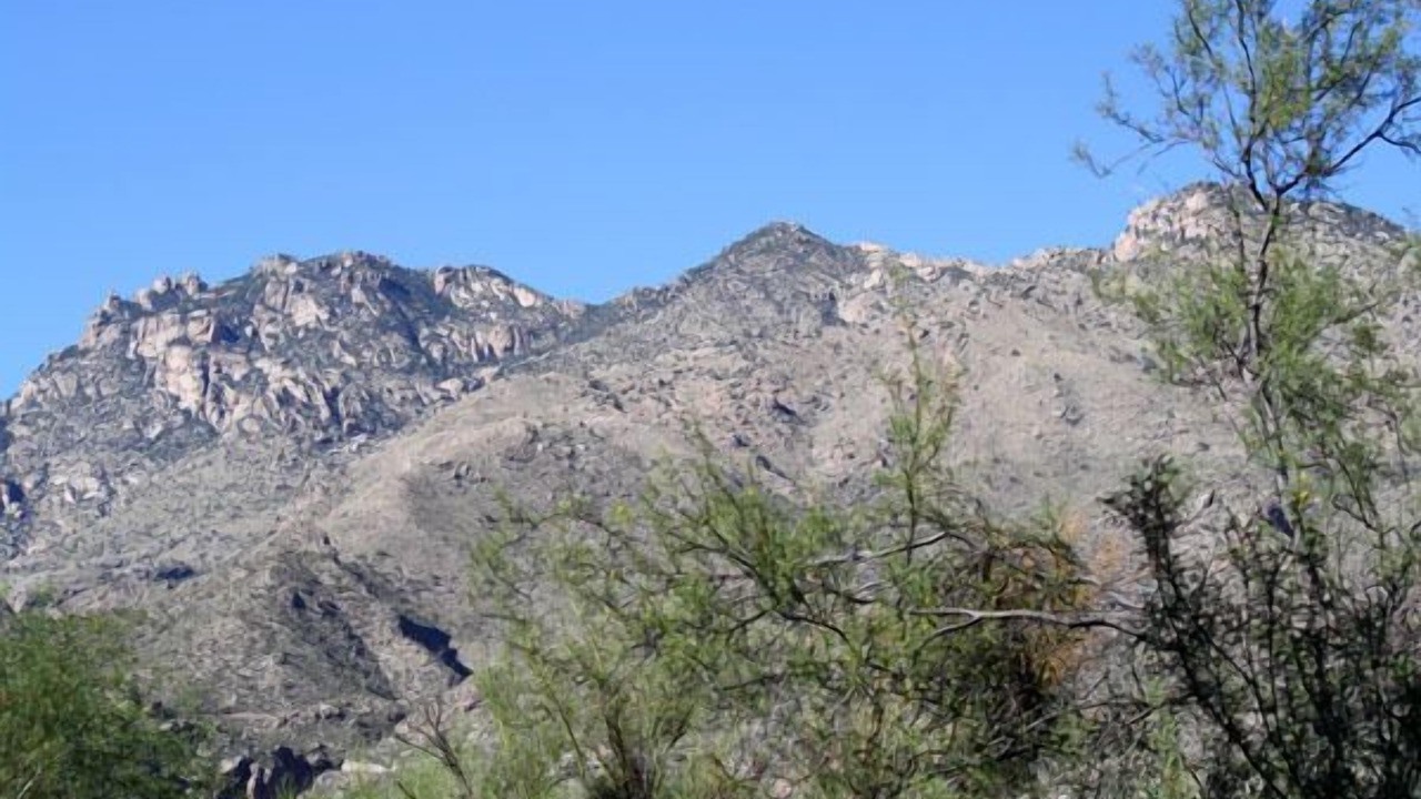 Photo of Others in Tucson