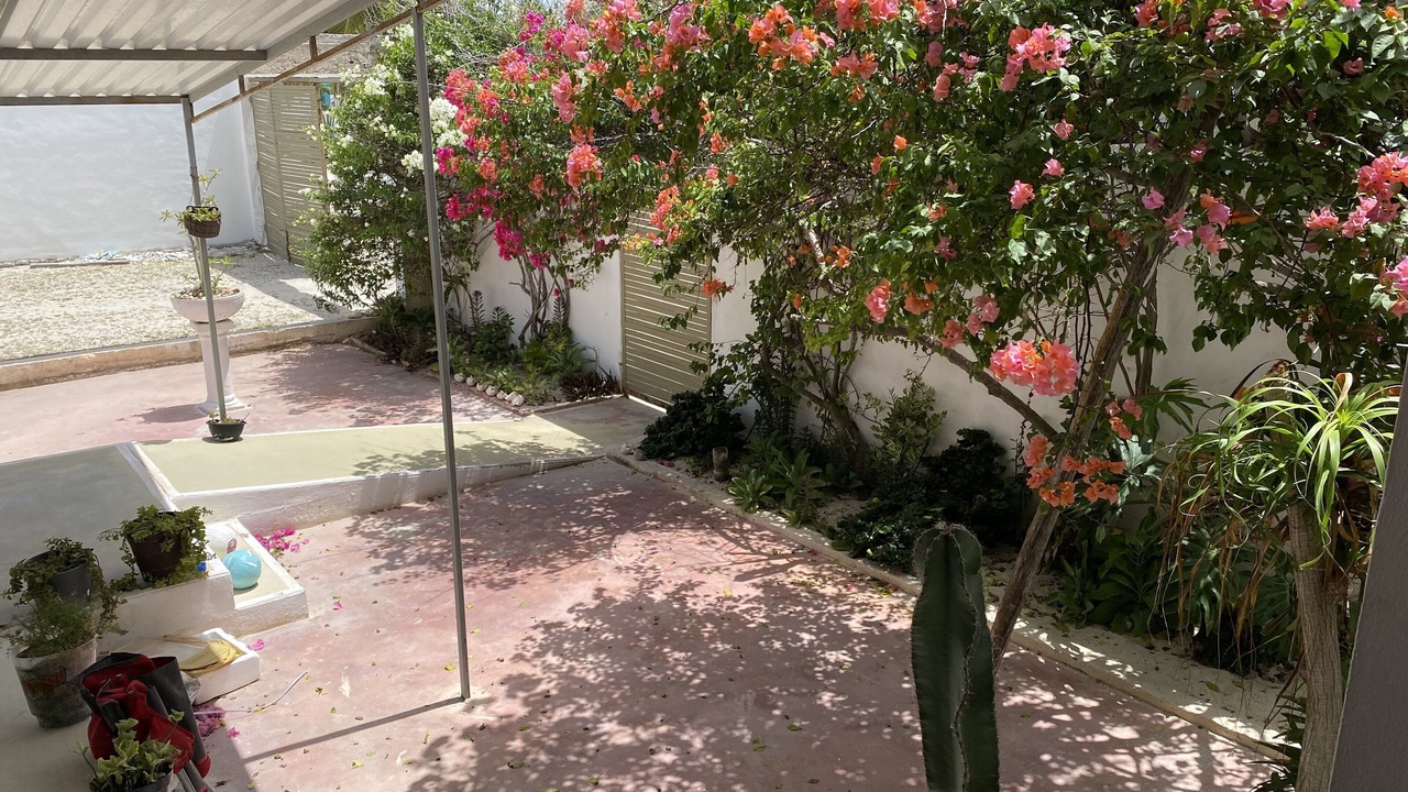 Photo of Outdoor in Chelem