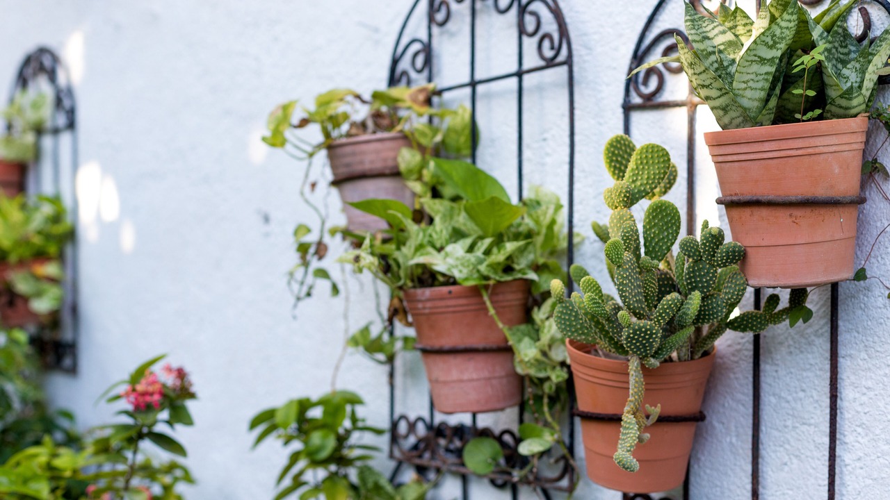 Photo of Outdoor in Centro