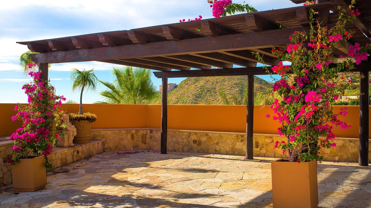 Photo of Others in Pedregal