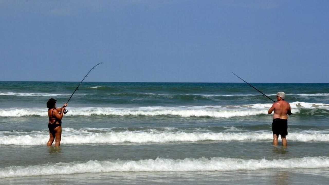 Photo of Others in New Smyrna Beach