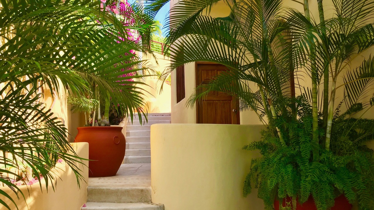 Photo of Outdoor in P Chahue