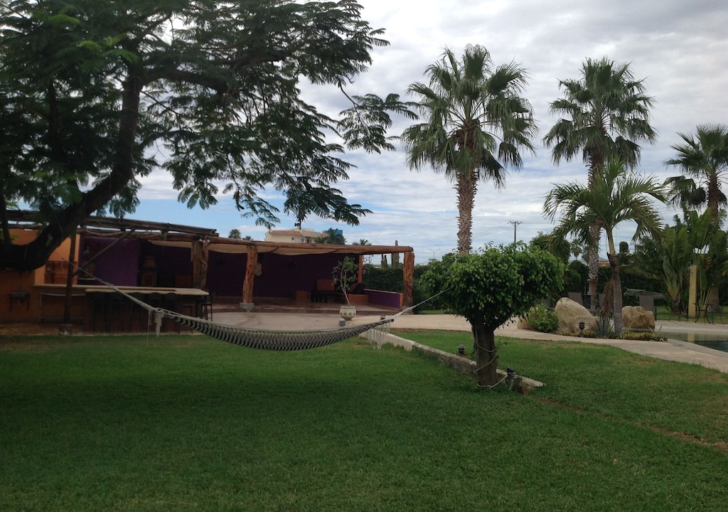 Photo of Others in El Tezal