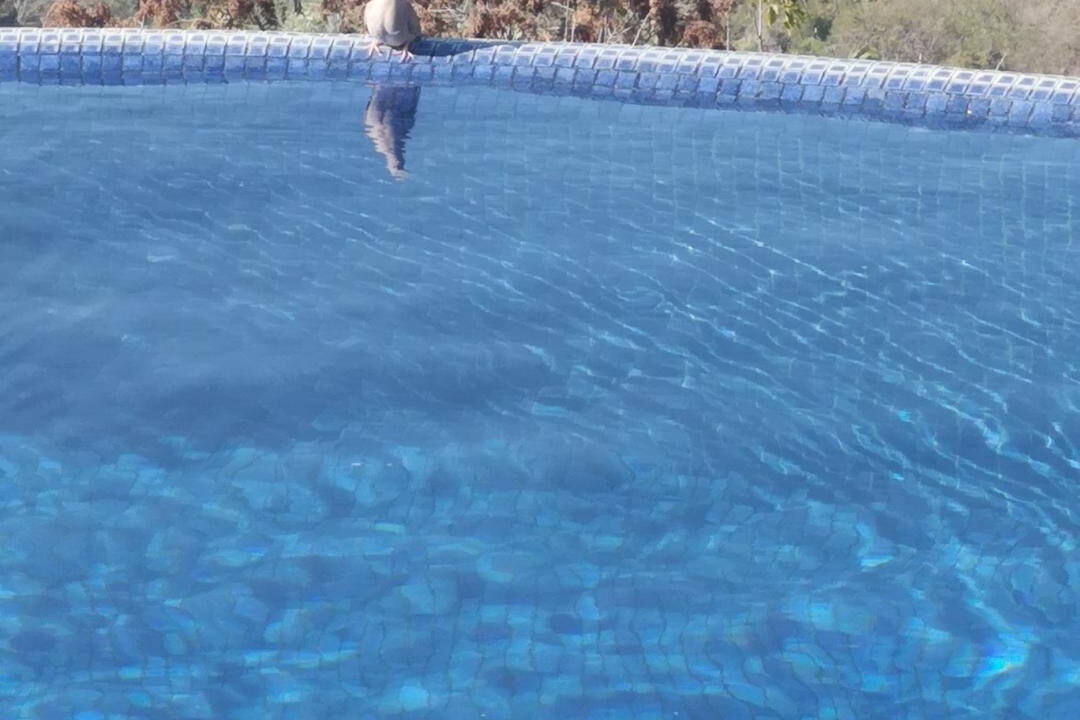 Photo of Outdoor in Cerro del Vigia