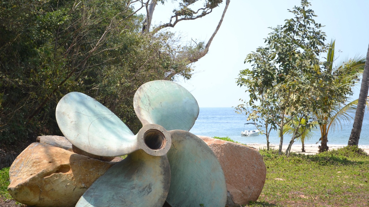 Photo of Others in Chacala