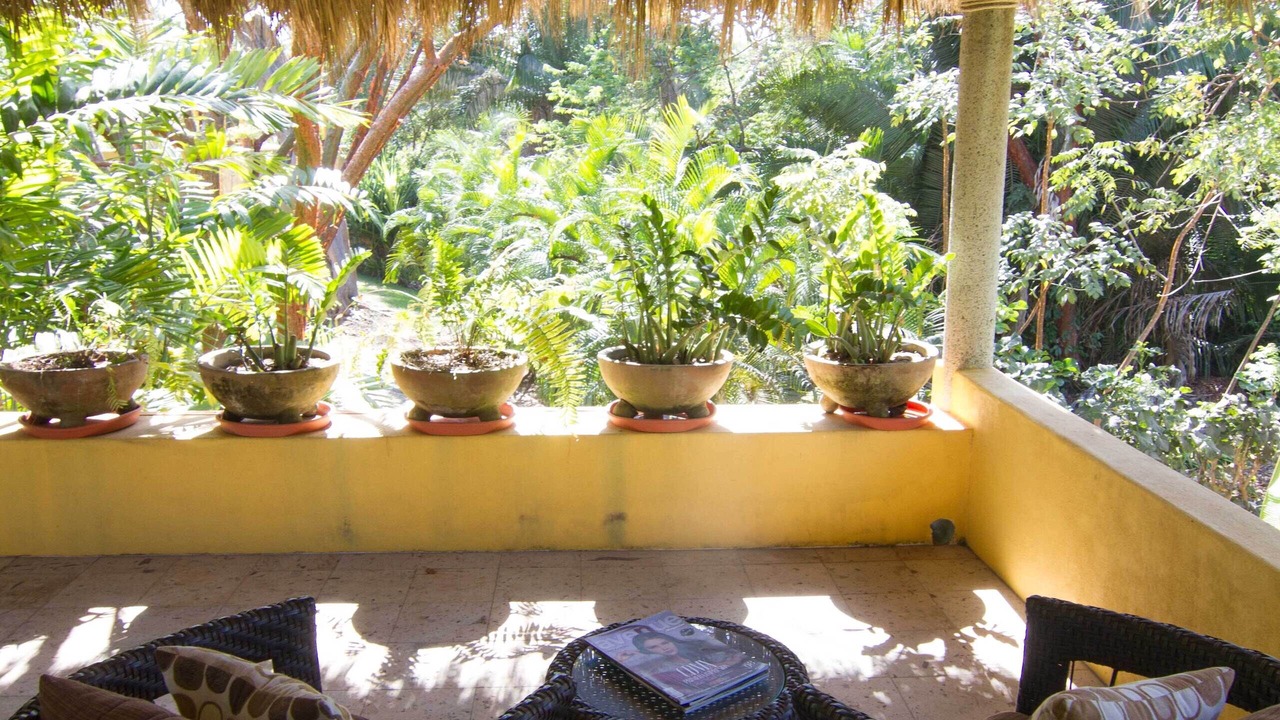 Photo of Patio Balcony in Chacala