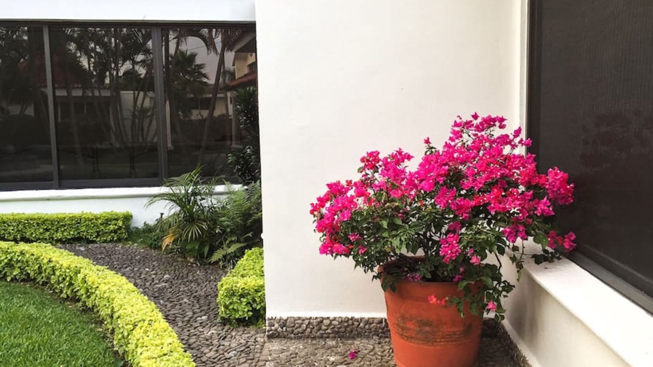 Photo of Outdoor in Tres de Mayo