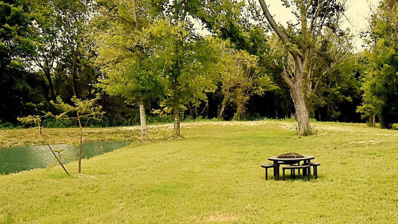 Photo of Others in Manvel