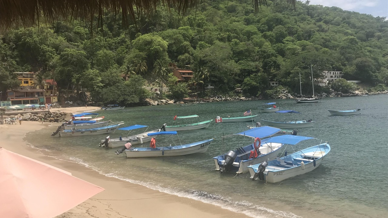 Photo of Others in El Tuito