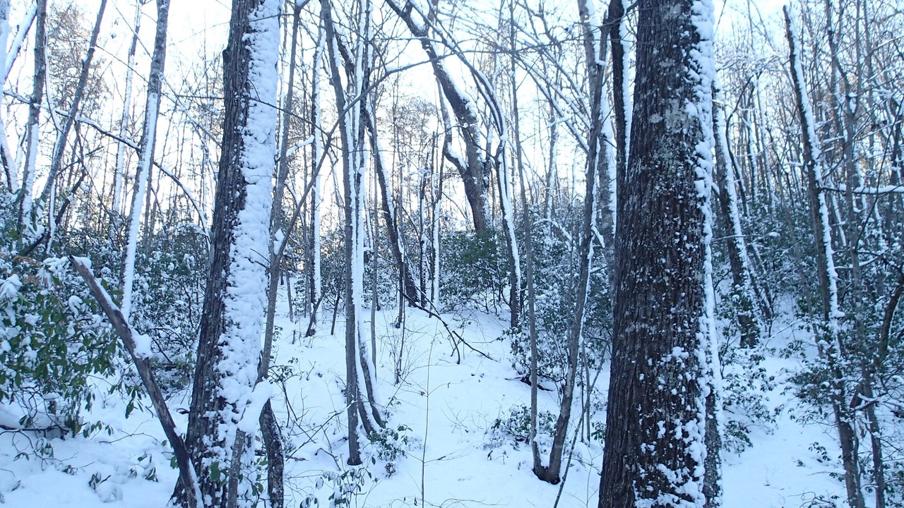 Photo of Others in Easley