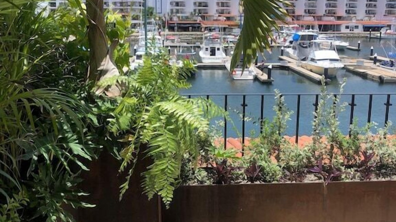 Photo of Others in Marina Vallarta