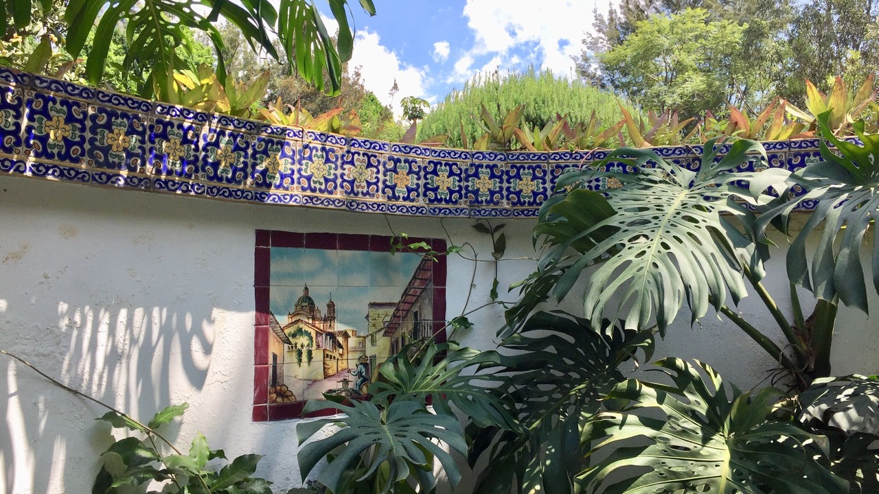 Photo of Others in Cuernavaca