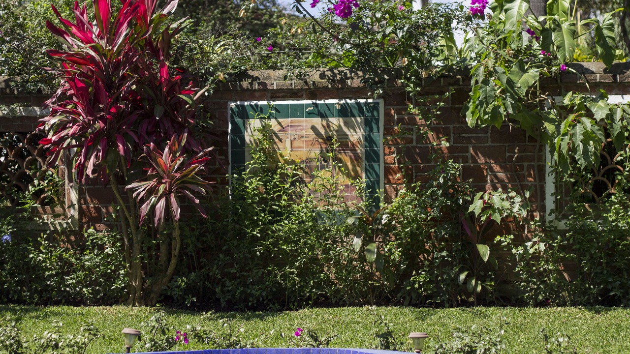 Photo of Others in Cuernavaca