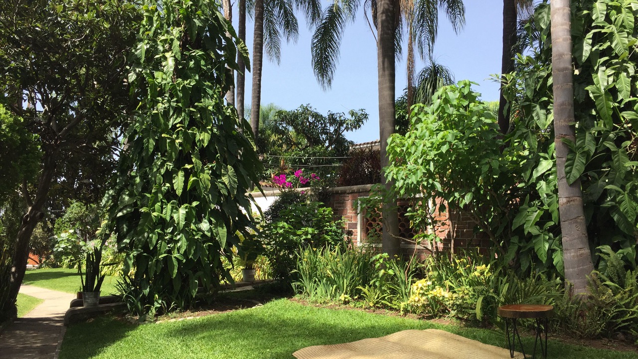 Photo of Others in Cuernavaca