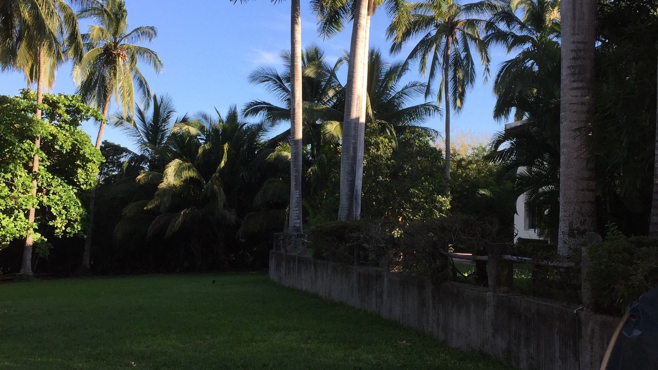 Photo of Outdoor in Nuevo Vallarta