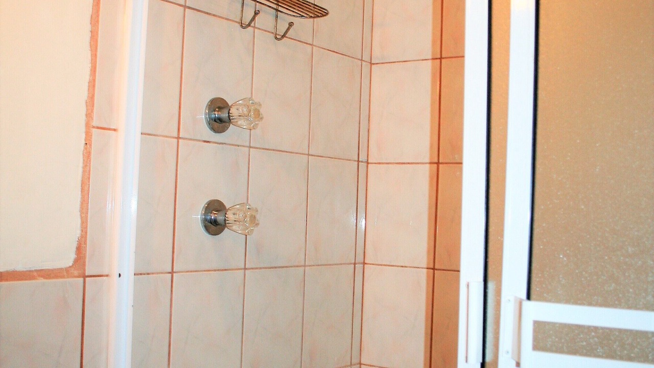 Photo of Bathroom in La Joya