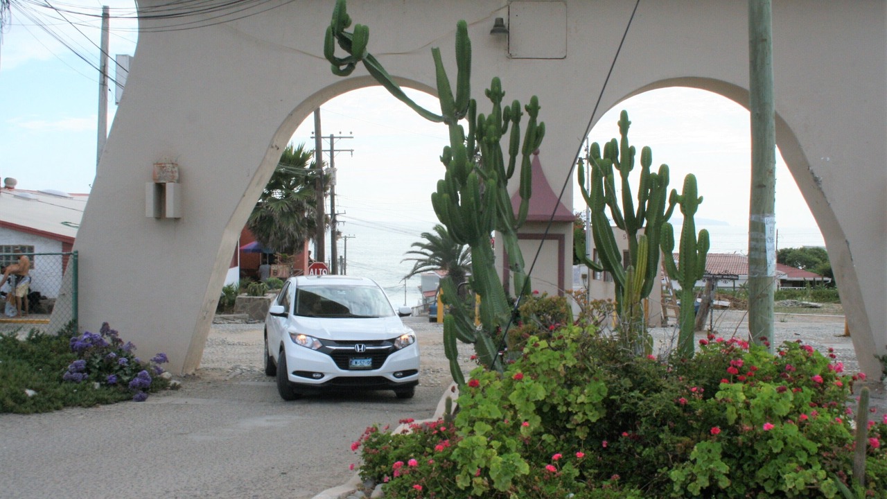Photo of Outdoor in La Joya