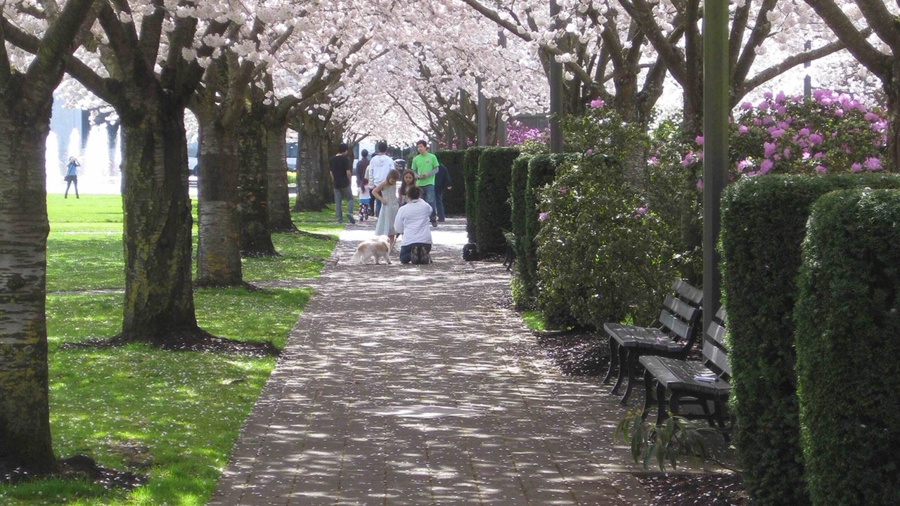Photo of Outdoor in Northeast Neighbors