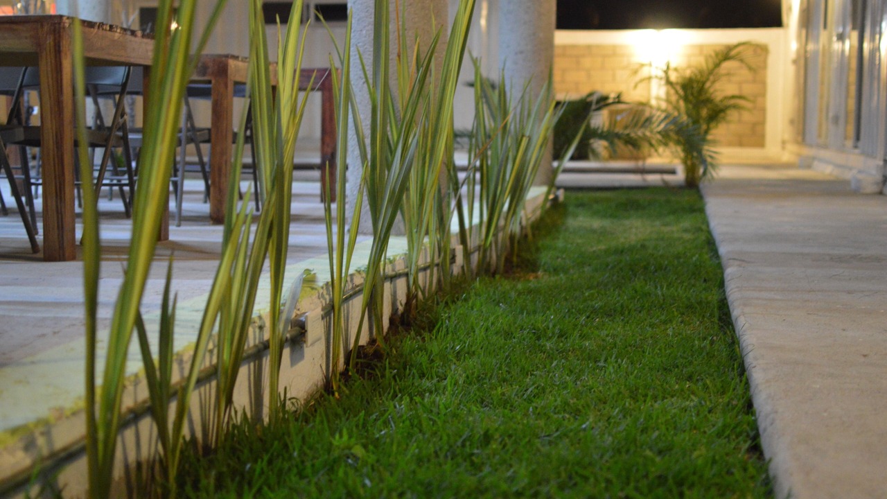 Photo of Outdoor in Temixco