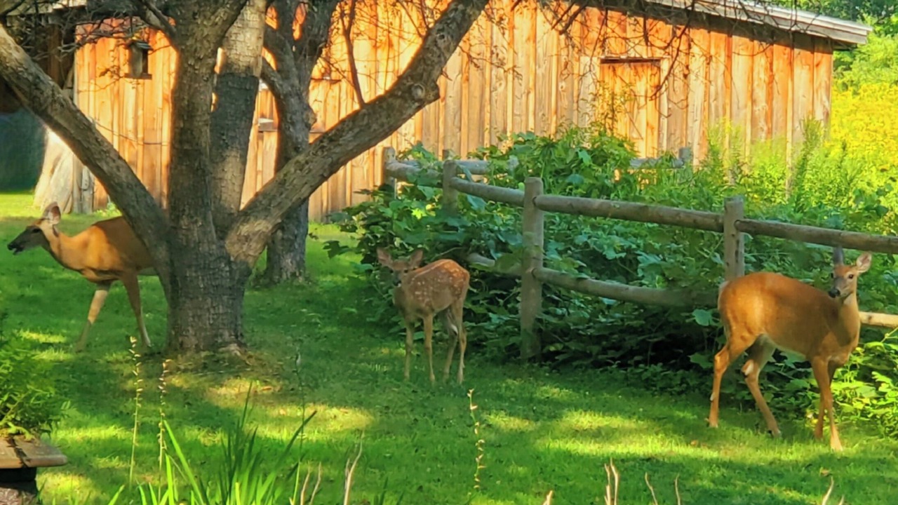 Photo of Outdoor in Westbrook
