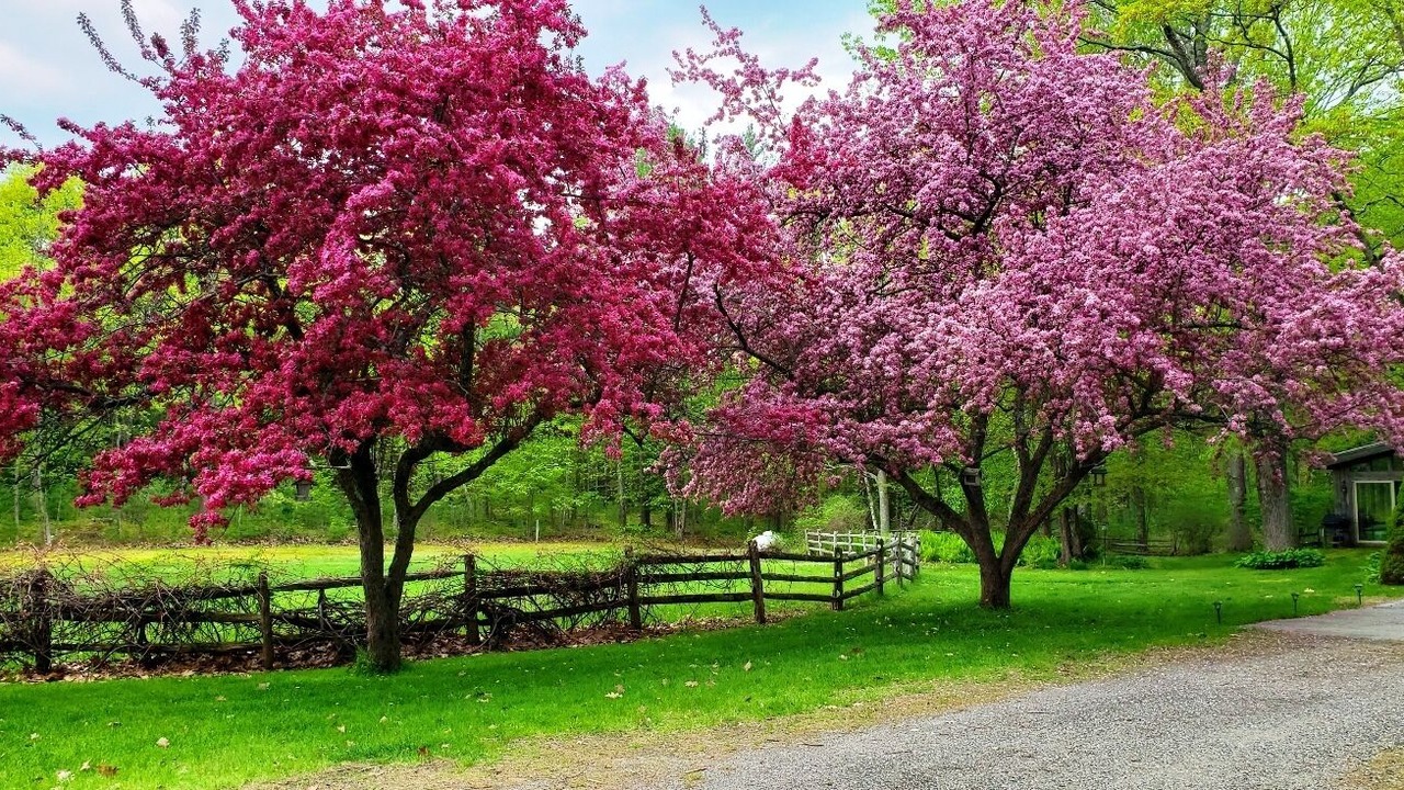 Photo of Outdoor in Westbrook