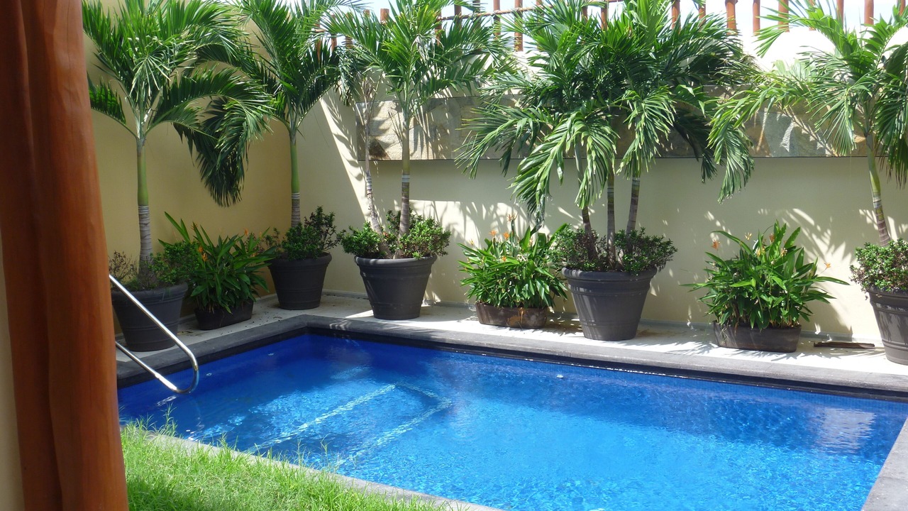 Photo of Outdoor in La Cruz de Huanacaxtle