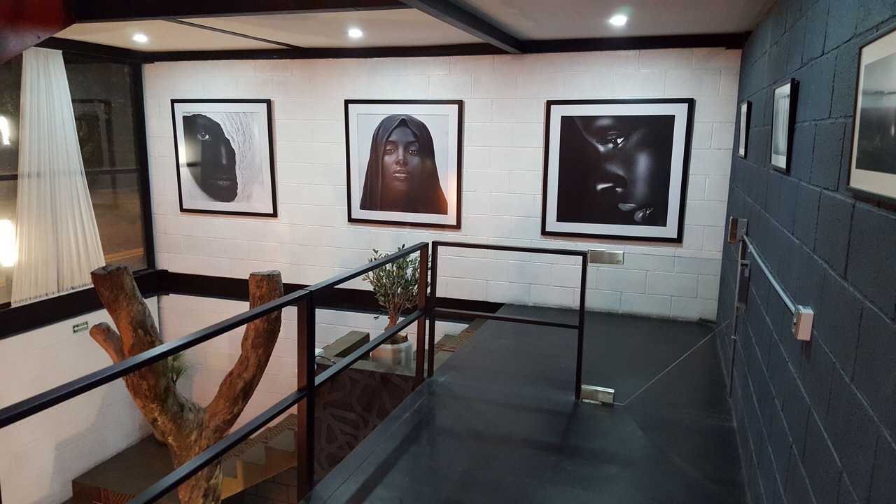 Photo of Others in Alvaro Obregon