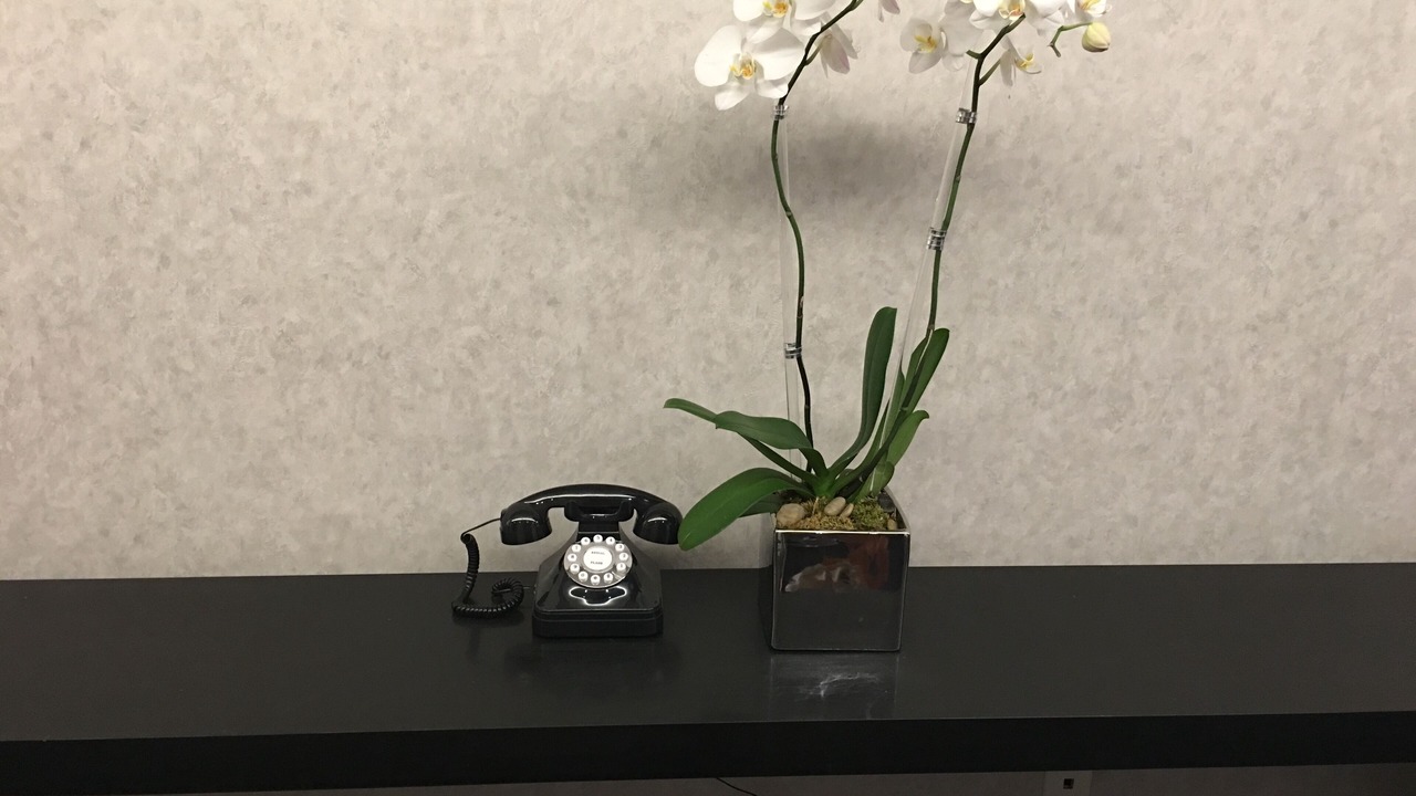 Photo of Bedroom in Doctores