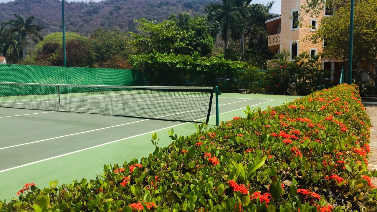 Photo of Others in Ixtapa
